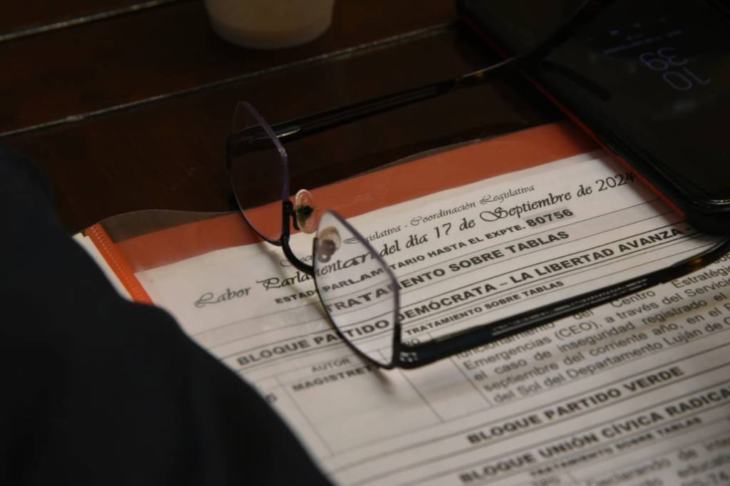 El Senado de Mendoza aprobó varios&nbsp;proyectos