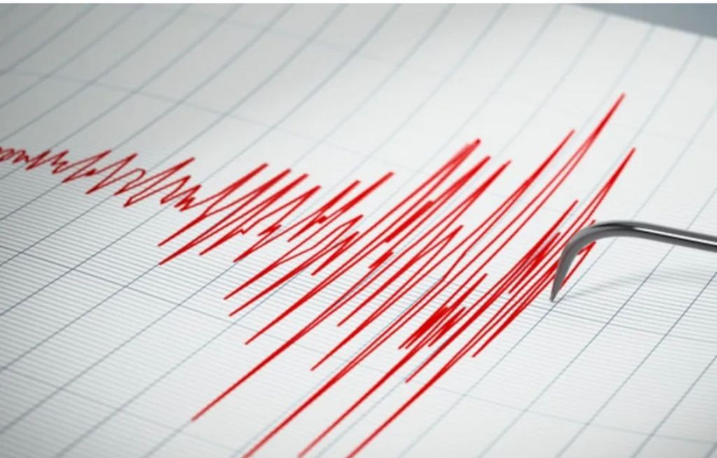 Un fuerte sismo con epicentro en San Martín sacudió a gran parte de&nbsp;Mendoza