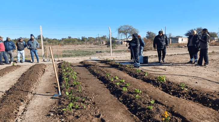 Activa tu Huerta: más de 500 personas participaron en la primera&nbsp;semana