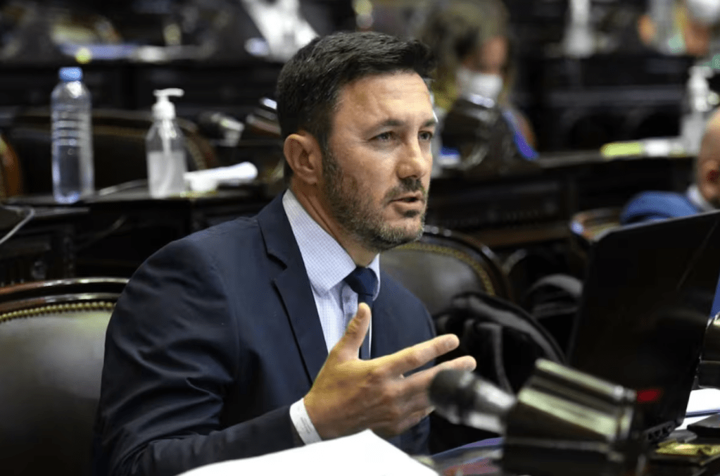 Luis Petri, sobre el proyecto para bajar la edad de imputabilidad: «Argentina es uno de los países con la edad más alta del&nbsp;mundo»