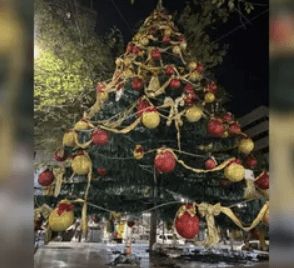 “El Grinch” mendocino: detuvieron a un hombre por intentar prender fuego un árbol de&nbsp;Navidad