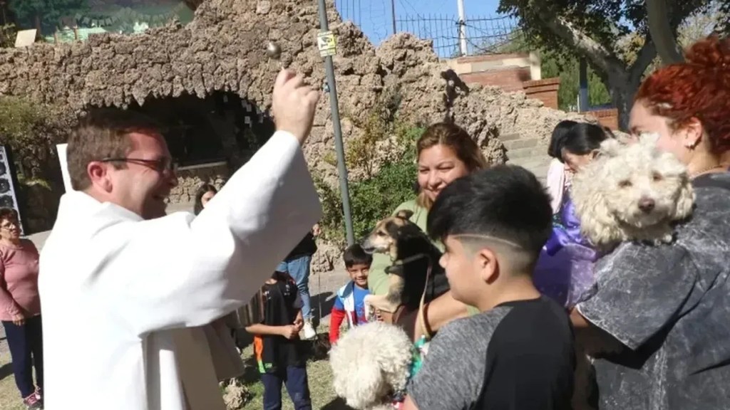 San Juan: más parroquias realizarán bendiciones de mascotas por el Día del&nbsp;Animal