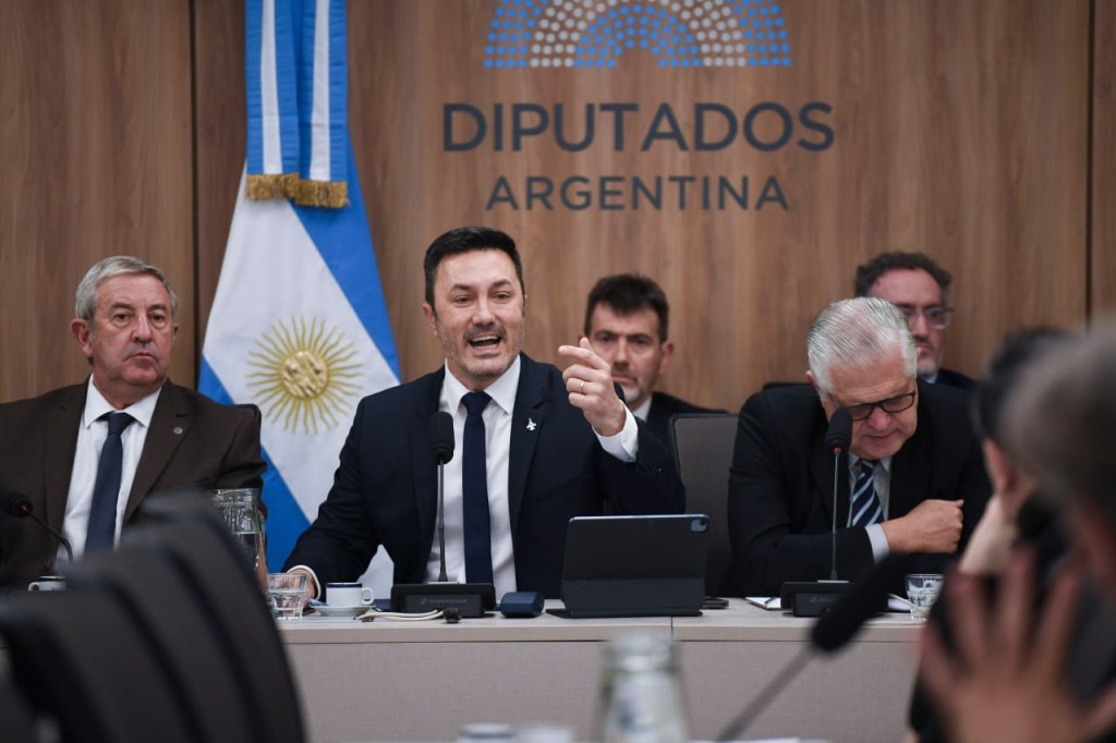 Petri: “Una nueva Ley de Salud Mental es&nbsp;urgente”