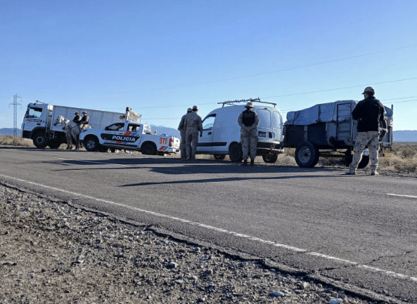 San Juan refuerza operativos en rutas por la presencia de animales sueltos