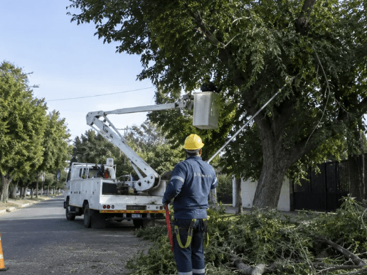 Capital: grave accidente laboral durante una poda dejó a un trabajador internado en estado crítico