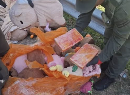 Interceptaron en Catamarca un tour de compras con 54 kilos de droga ocultos en peluches con destino a Mendoza