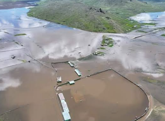 Se inundó el barrio Viñas del Carril en Maipú y el Departamento de Irrigación explicó qué pasó